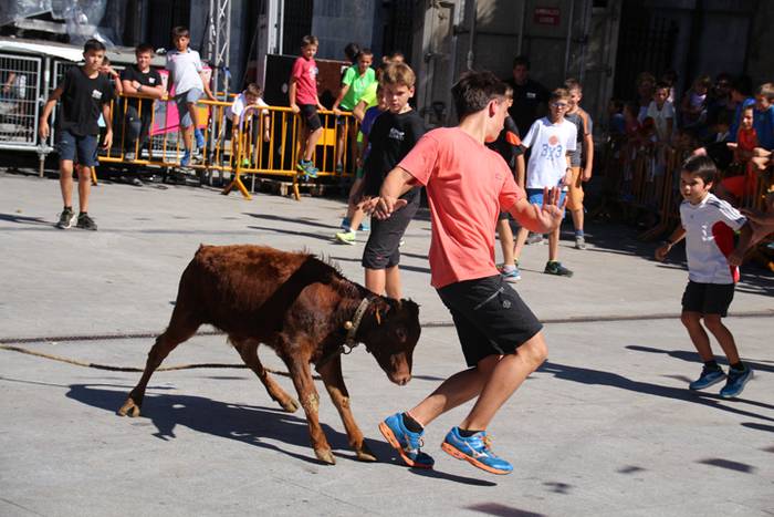 Gazteen festa egarriak ez du etenik 12 1472122470366