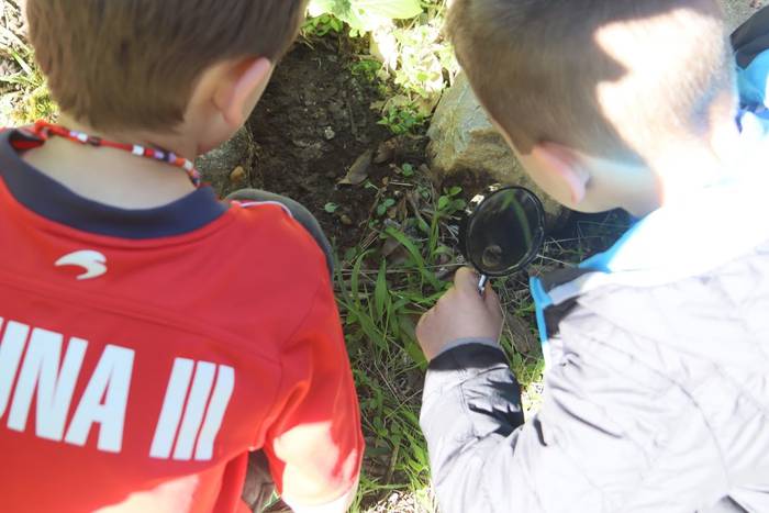 Elosegi parkeko biodibertsit 13 1559225132443