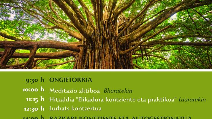 Barnebidean Fest jaialdia antolatu dute azaroaren 16rako