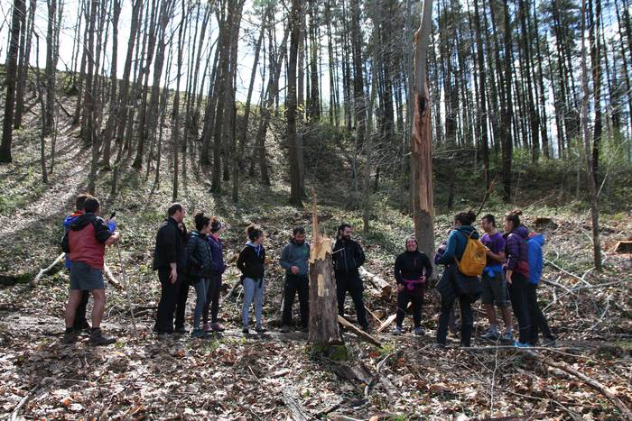 Basoari begira Anoetan 4 1554970851543