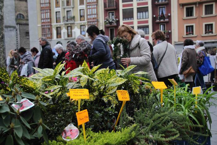 Erein eta zaintzearen magiak 13 1581165932329