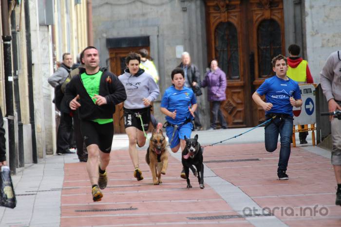 txakur krosa tolosa 2016 9 1458498832694