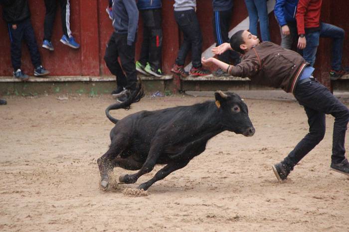 Txaranga eta zezenak piñata  12 1488738791485