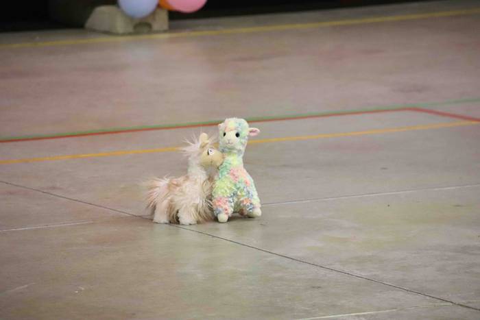 Irurako Ikastolako inauterie 2 1582110279917