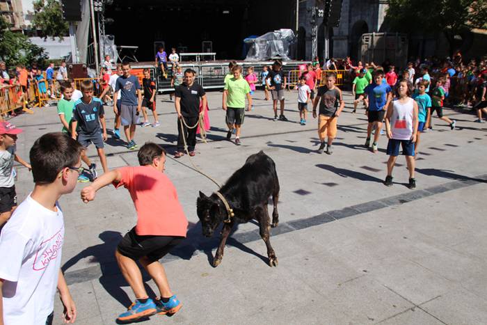 Gazteen festa egarriak ez du etenik 10 1472122451397