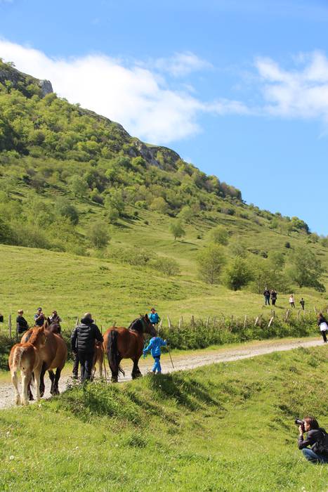 Larre irekiera Larraitzen 20 93 1493640231481