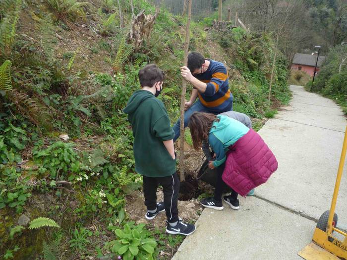 Zuhaitz landaketa Uzturpe ik 5 1616755856004