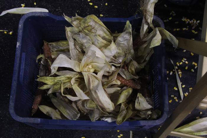 Frontoiaren babesean eta jol 18 1510334276960