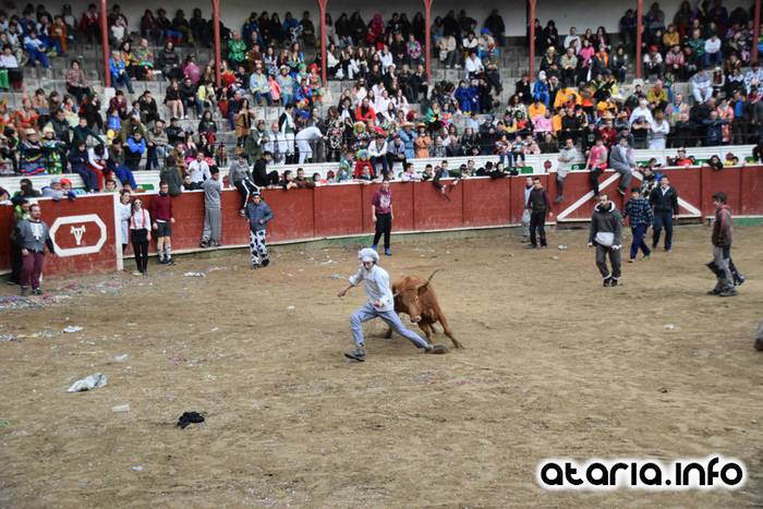 Pattar zezena 2016 37 1455012396408