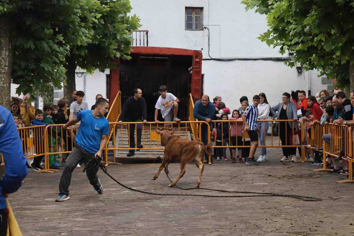 Zezen txikien aurretik 14 1656263616831