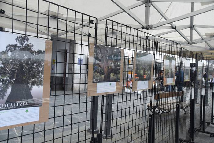 Zuhaitz Azoka, Tolosa, 2017 27 1486819716869