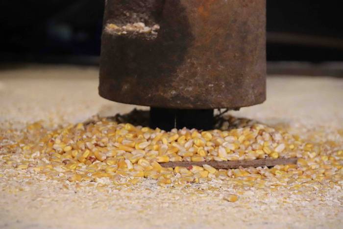 Akezkoerrotara bisita, Zizur 8 1651918042037