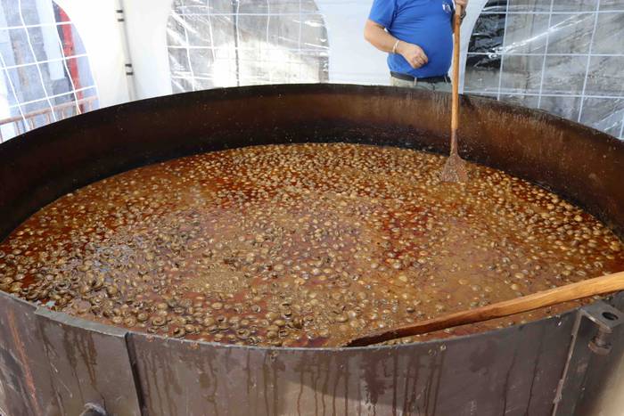 Perretxikoen plaza 2 1666439560085