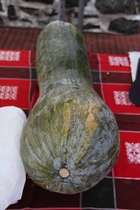 Azken ekitaldia, azoka 18 1506856062788