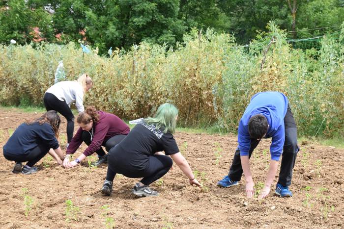 Piper landaketa uzturpe gureak  789 taldea 22 1464793774521