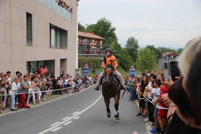 Zaldi gainean lasterka Abalt 21 1498413143620