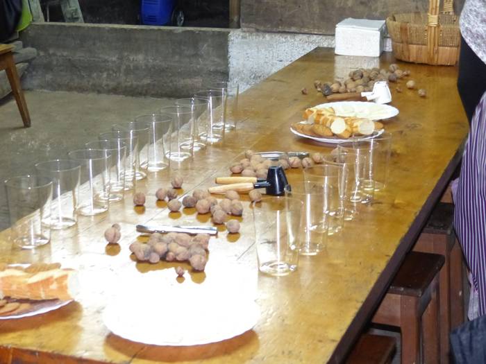 Santa Ageda bezpera, Ibarra, 28 1549360894094