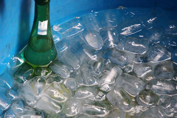 Txakolin fresko mozorrotua 32 1472141534508