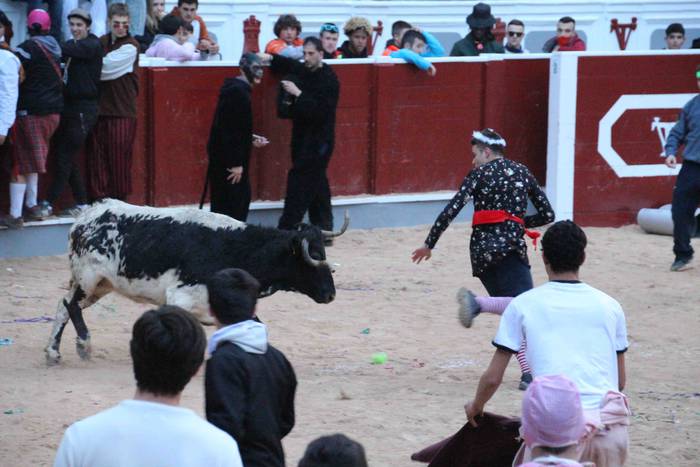 Pattar zezena 34 1582622106291