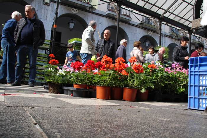 Udaberria loratu da Tolosan 15 1526734073955