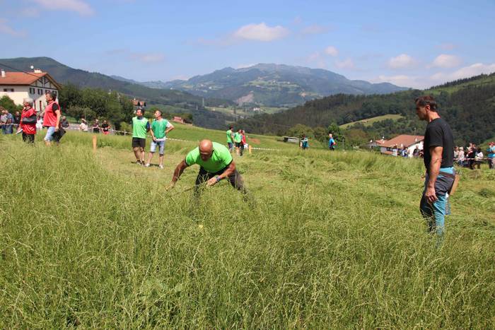 Erabaki dira Euskal Herriko  60 1532870693568