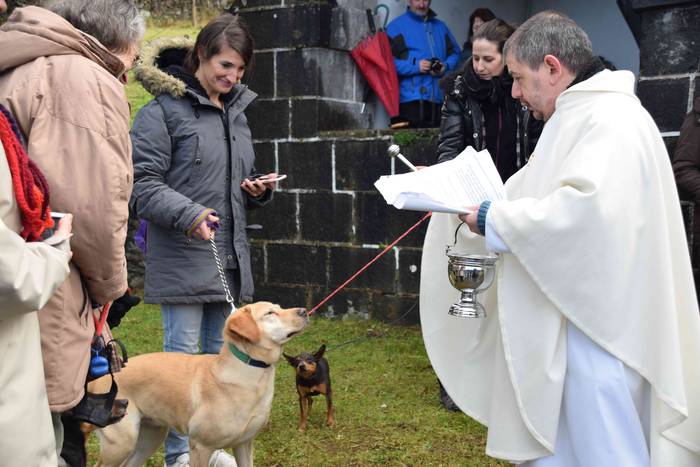 Animaliek jaso dute San Anto 14 1547722516093