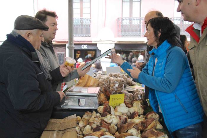 Tolosako Azokari buruzko liburuaren aurkezpena 14 1545488914050