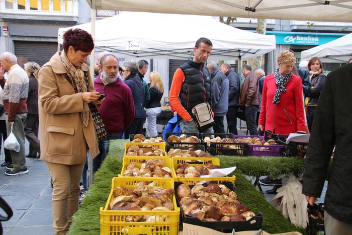 Mikologika 2015 azoka eguna 9 1445082991008