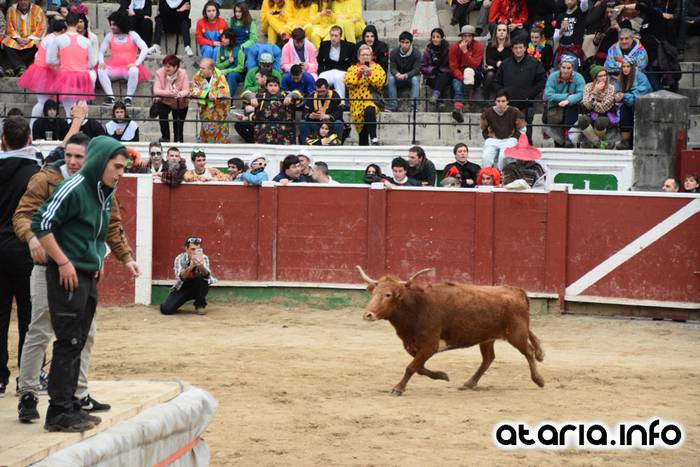 Pattar zezena 2016 34 1455012395081