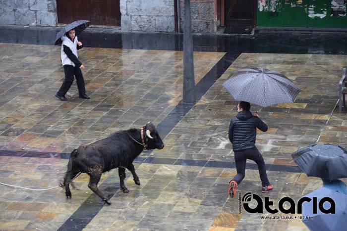 Inauteriak 2018, sokamuturra 44 1518438049802