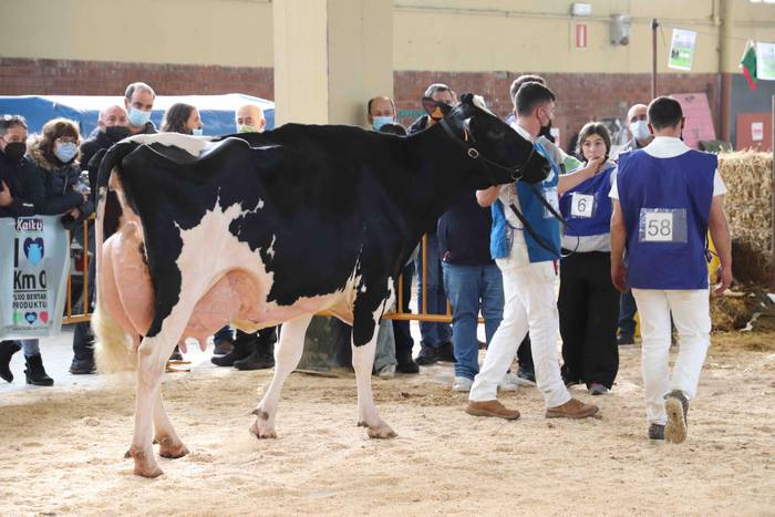 XII. Euskal Herriko Frisoi T 20 1637418672120