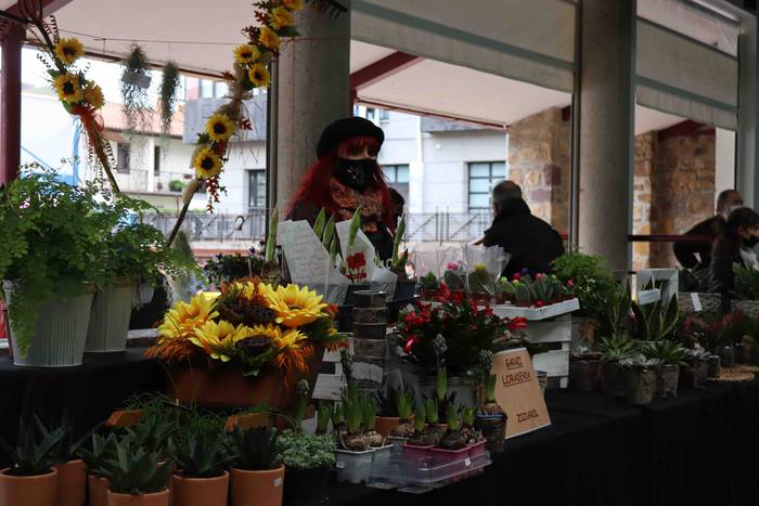 Oholtza gainera igo dira ira 32 1636308521133