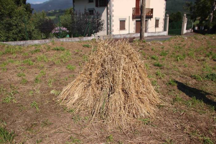 Garia bildu dute ogia egitek 68 1532423048414