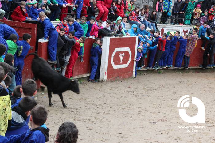 Zinbuluka ta zanbuluka 28 1487957737293