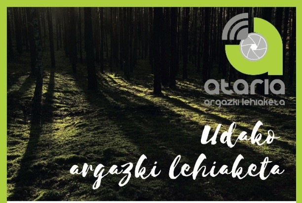 Oroigarri onenaren bila