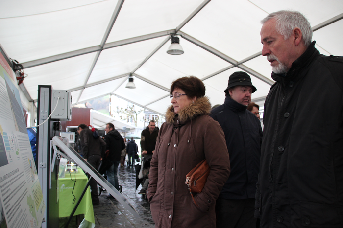 Berritu, irauteko 4 1513430096154