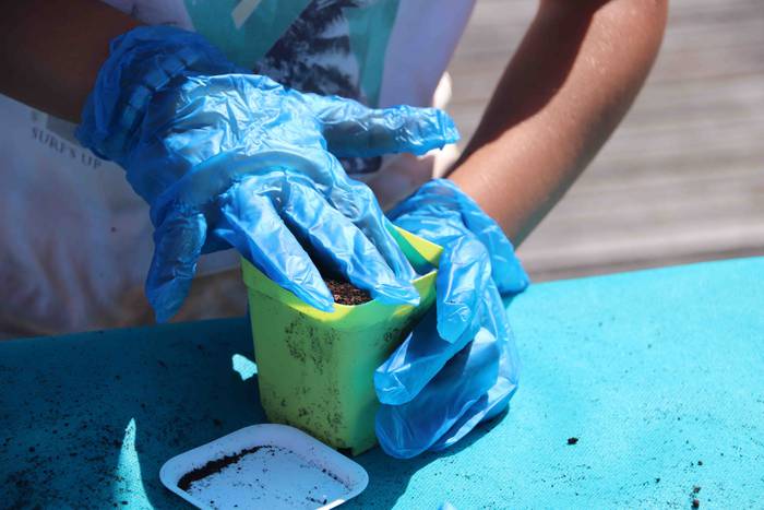 Tolosako Babarruna erein da 27 1559904714103