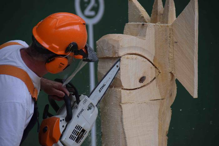 Larraul san bartolome eguna  3 1535187393363