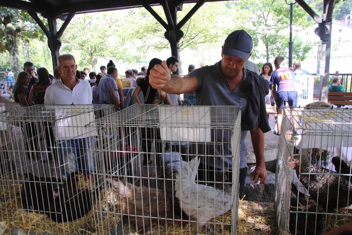 Inoiz baino bereziagoa 11 1568556709581