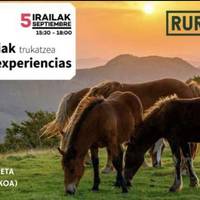 Esperientzia trukaketa