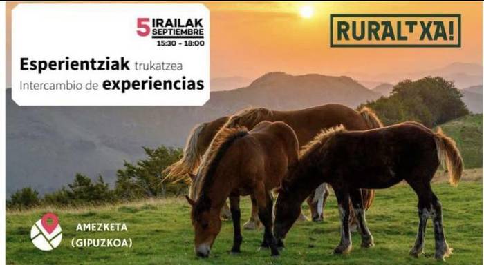 Esperientzia trukaketa