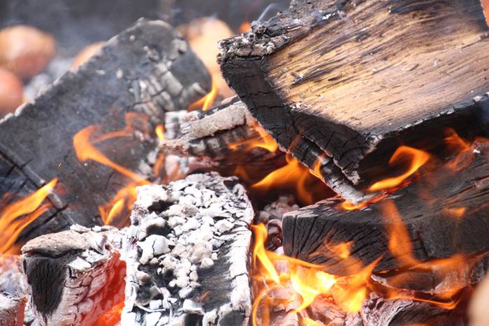 Haragia eta txingarra protag 26 1524932740157