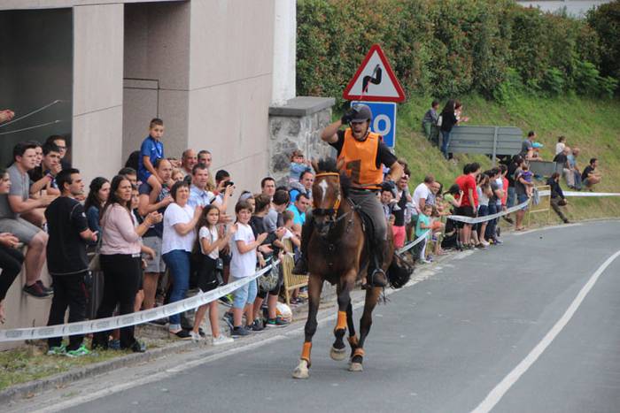 Zaldi gainean lasterka Abalt 24 1498413159646