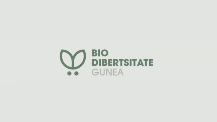 Biodibertsitate Gunea