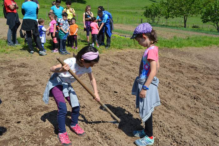 Herriko ekoizle eta kontsumi 4 1525766432558