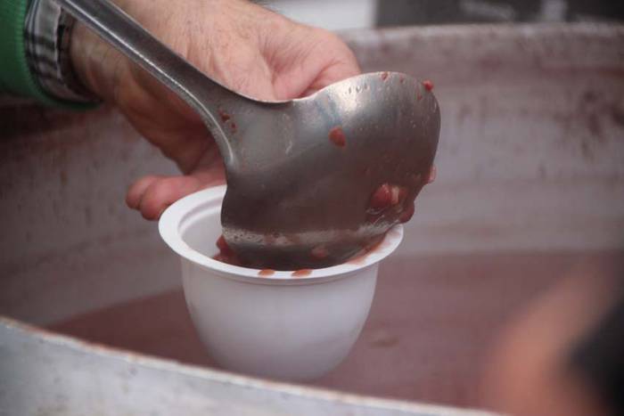 Tolosak Babarruna 40 1448111675158