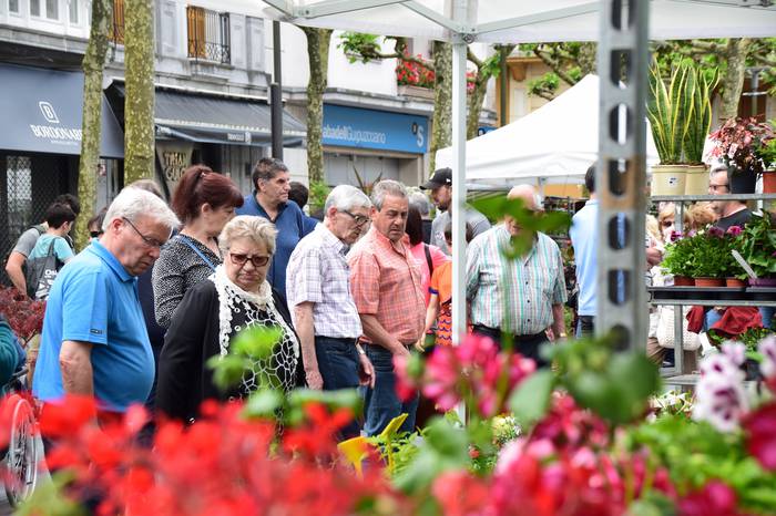 Lore eta Landare azoka Tolos 14 1652529026885