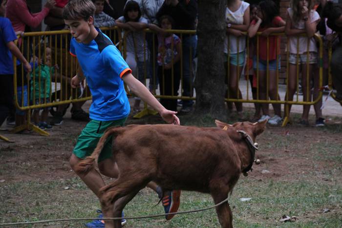 Ikaztegietako San Lorentzo jaiak 2016 17 1470765147960