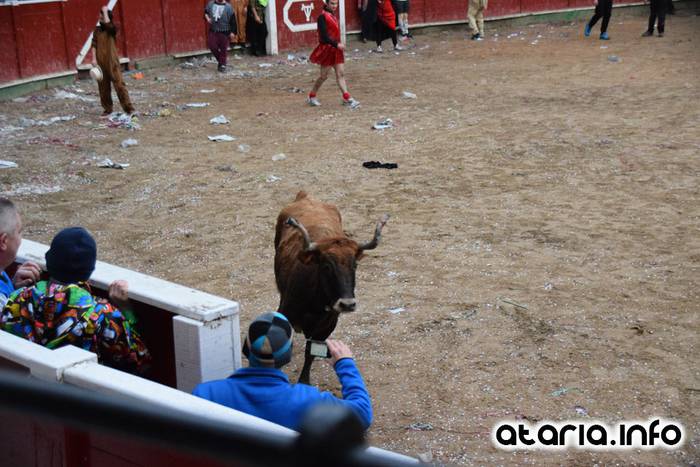 Pattar zezena 2016 13 1455012385653