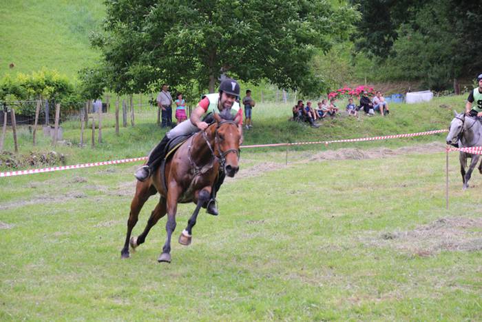 Zaldien gainean lehian 53 1497207423388